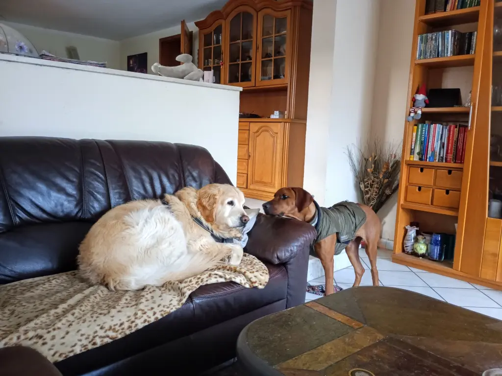 Andachtsbild von Peter & Christa