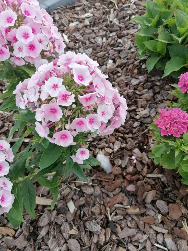 Andachtsbild von Gaby mit  ♡☙Snowy☙♡