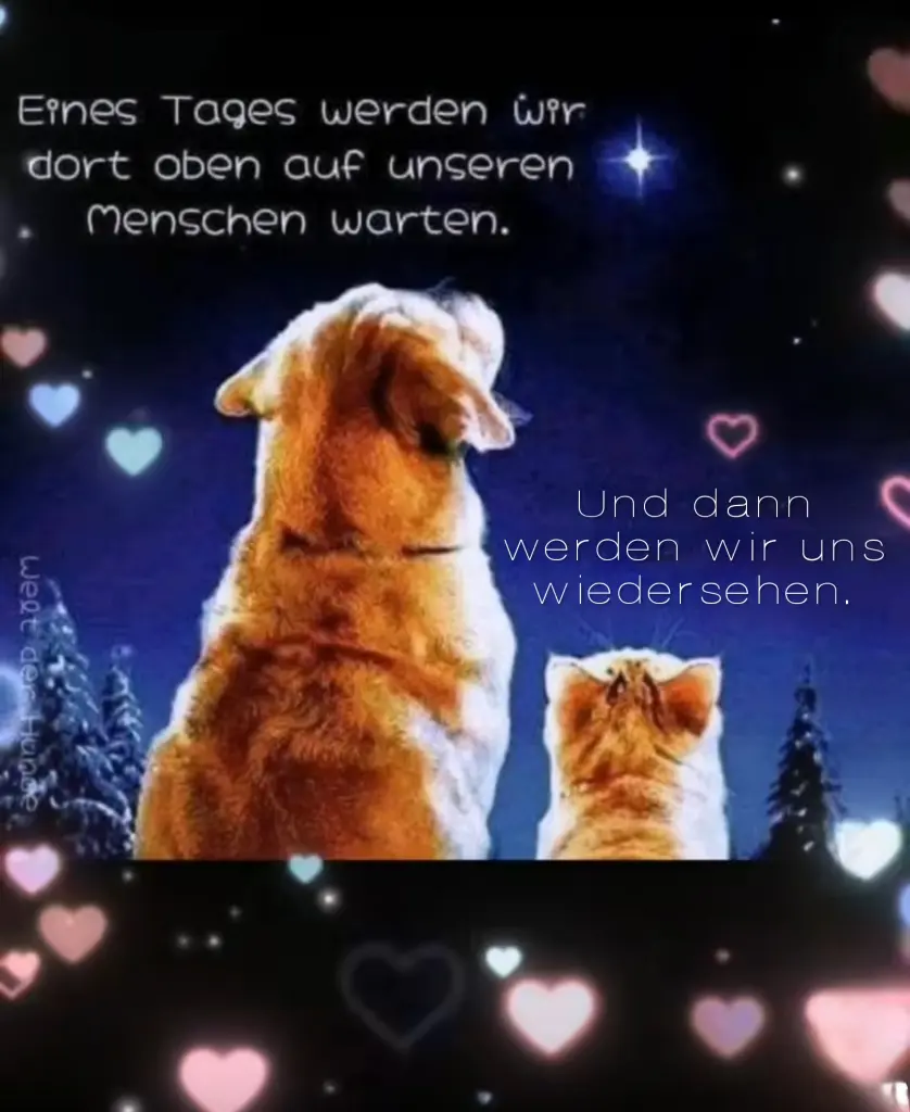 Andachtsbild von ♥️♥️