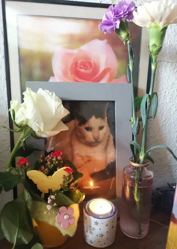 Andachtsbild von Olena mit Lesik im Herzen ❤