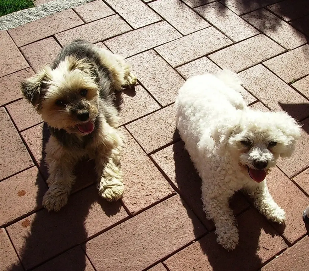 Andachtsbild von ♡Herzen ♡