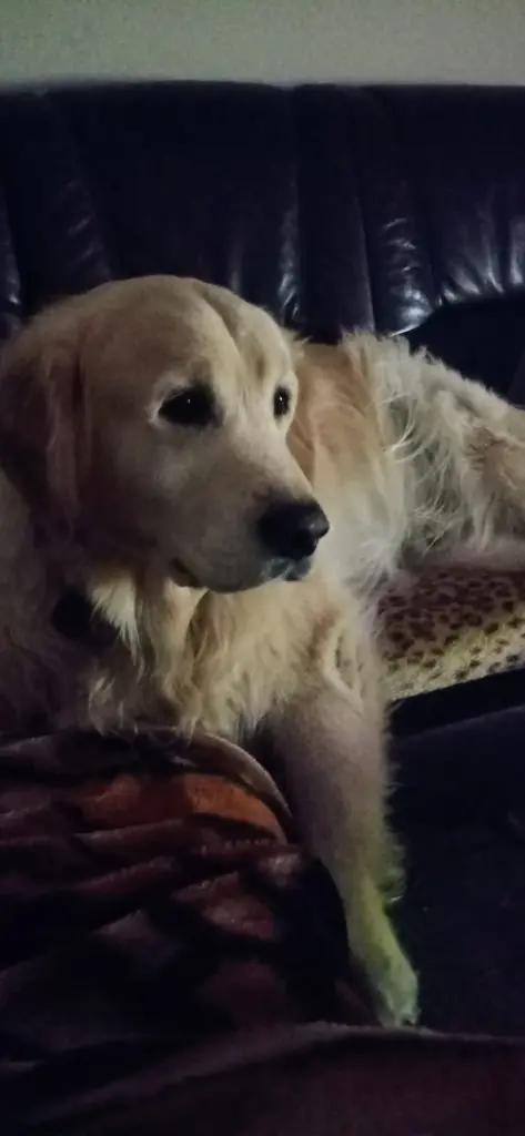 Andachtsbild von Unbekannt