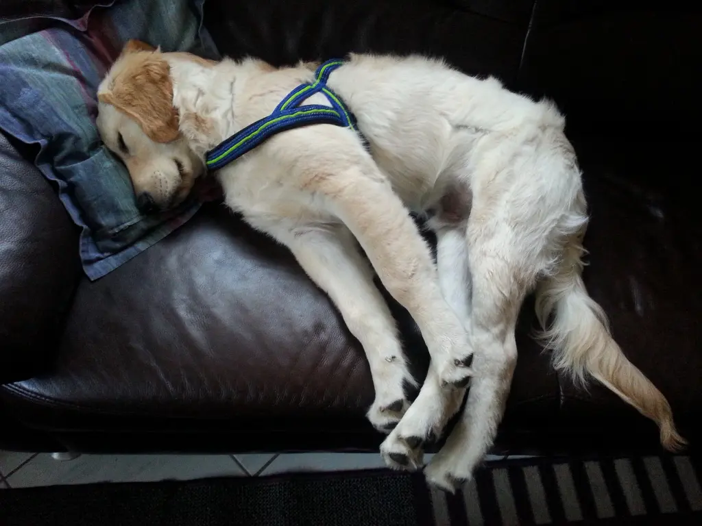 Andachtsbild von Peter& Christa & Theo❤️