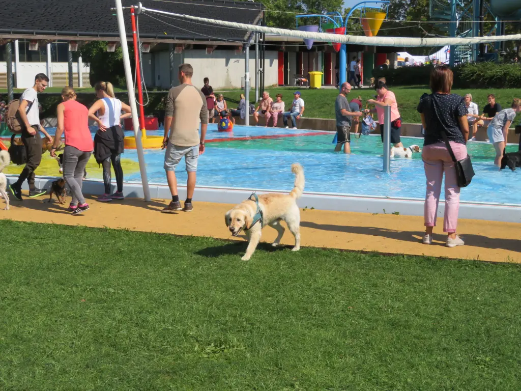 Andachtsbild von Peter Christa mit Theo 