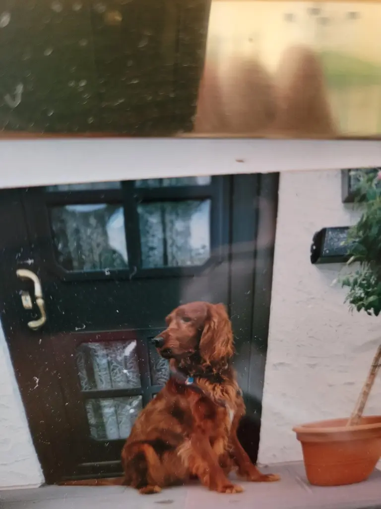 Andachtsbild von Gabriele 