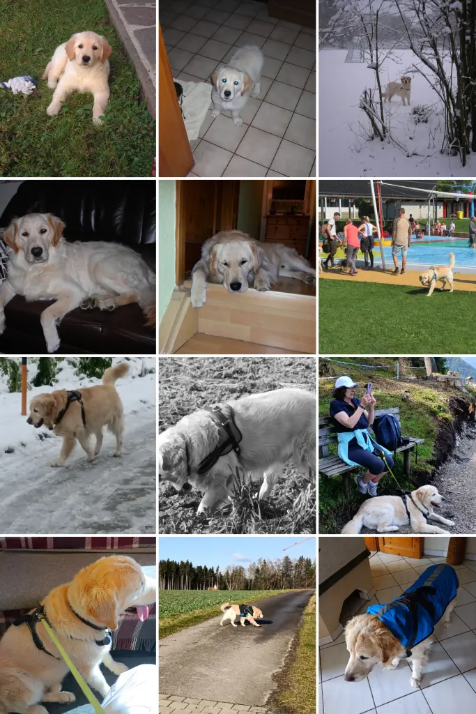 Andachtsbild von Peter Christa mit Theo ❤️