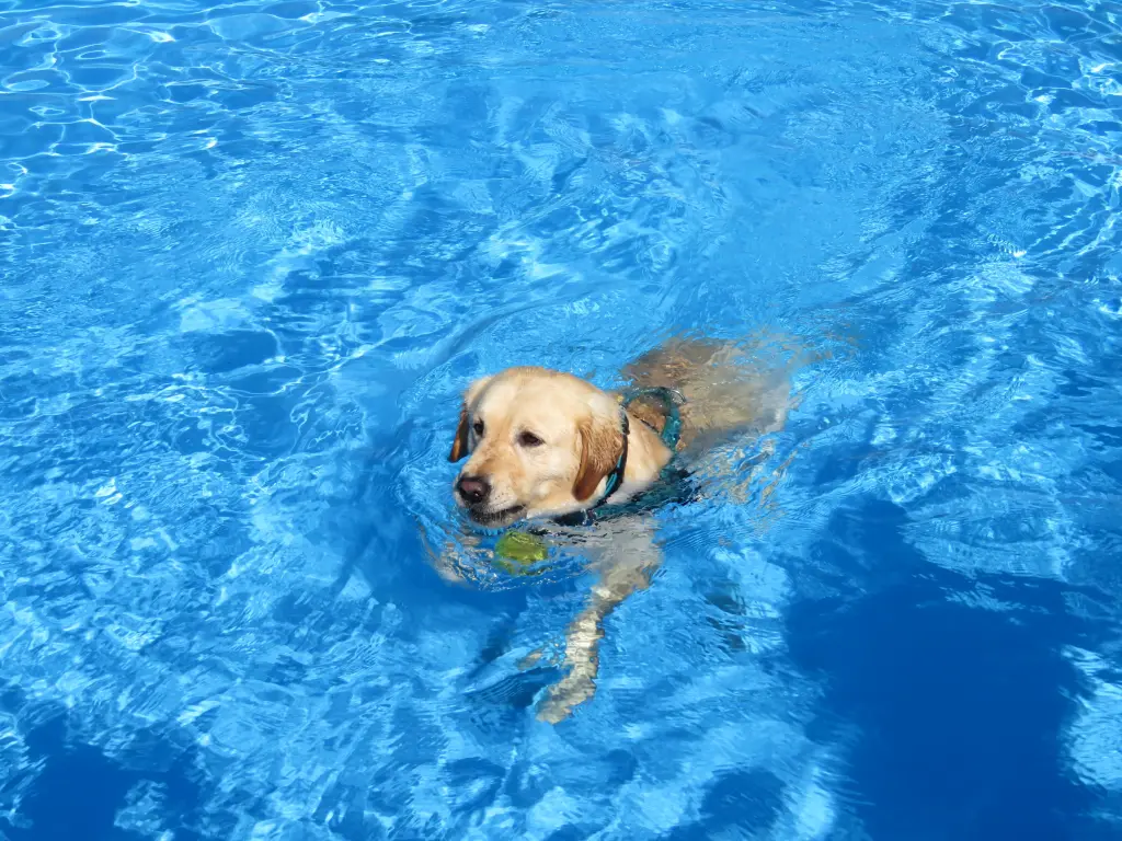 Andachtsbild von Peter & Christa mit Theo♥️