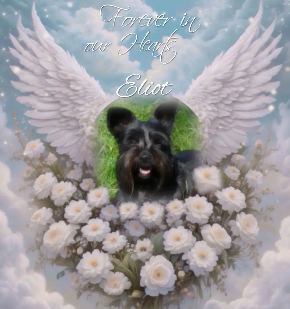 Andachtsbild von Eliot♥️ geliebt♥️ und unvergessen♥️