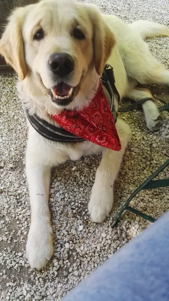 Andachtsbild von Peter & Christa mit Theo♥️