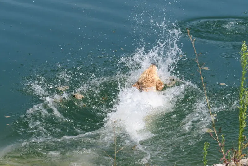 Andachtsbild von Peter & Christa mit Theo♥️