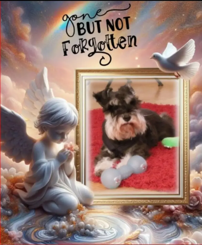 Andachtsbild von Linus♥️ geliebt♥️ und unvergessen♥️