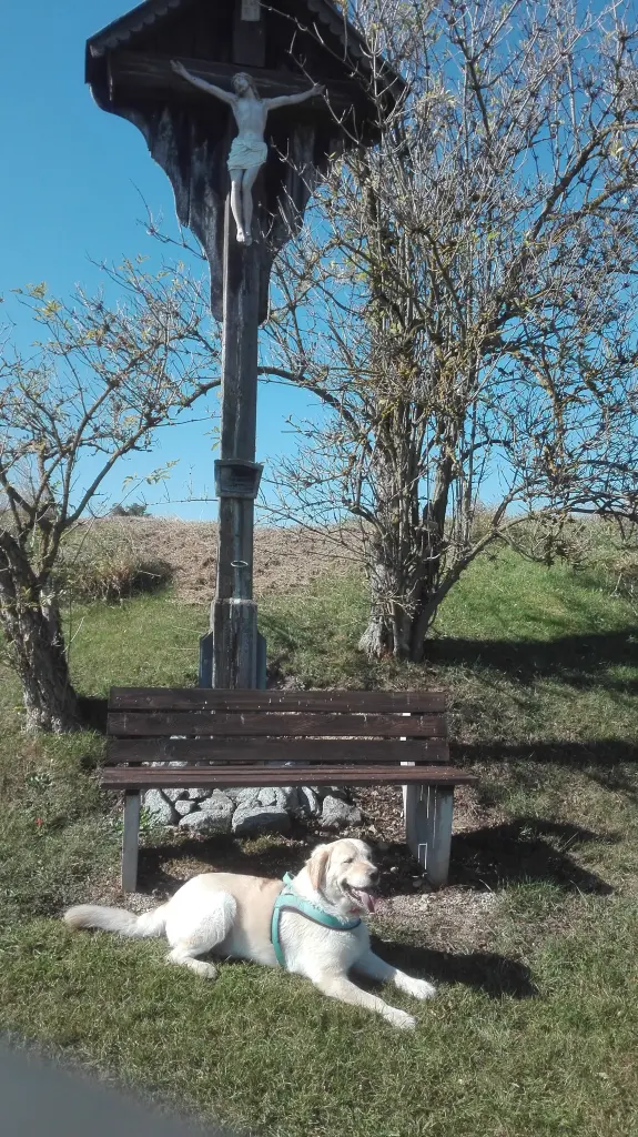 Andachtsbild von Peter & Christa