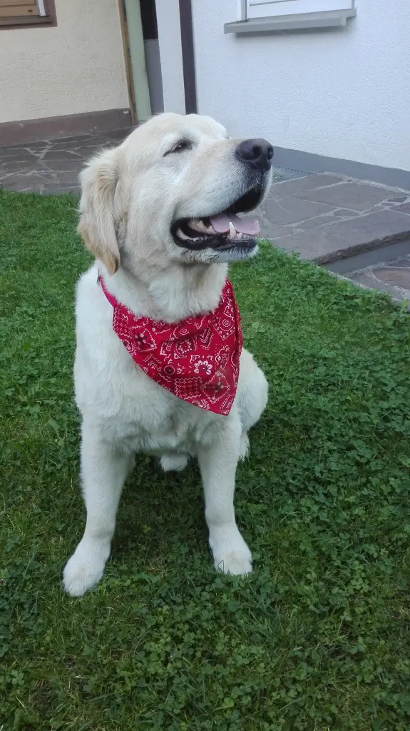 Andachtsbild von Peter & Christa