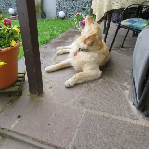 Andachtsbild von Peter & Christa