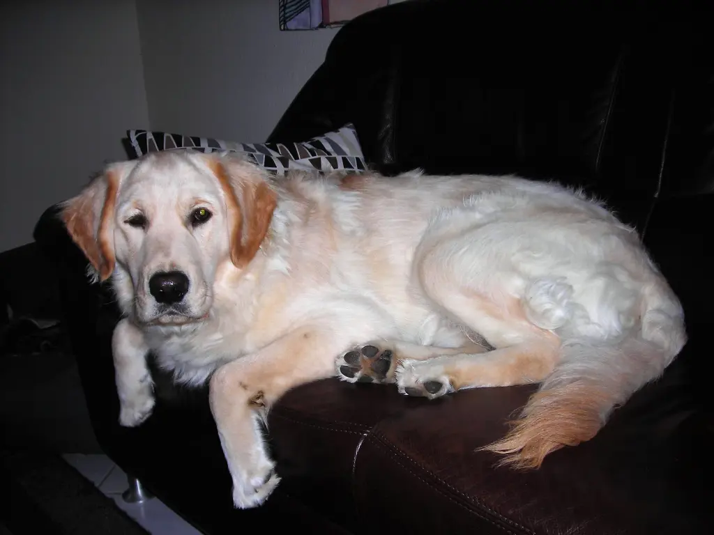 Andachtsbild von Peter & Christa mit Theo♥️