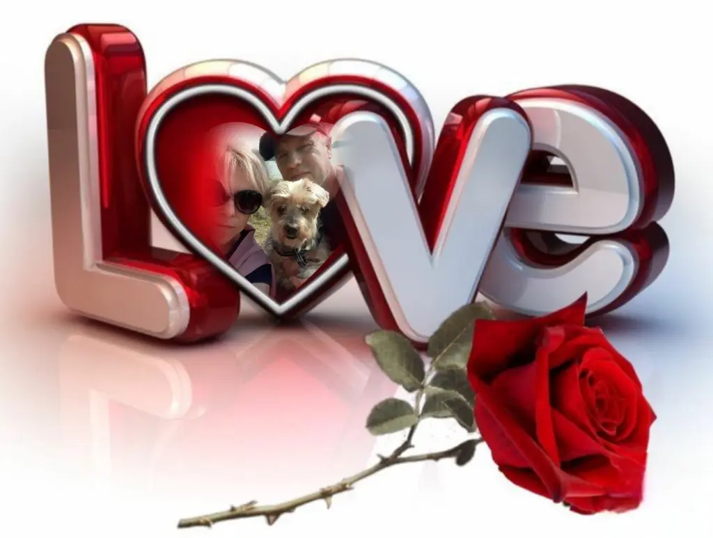 Andachtsbild von ♥️DANKE♥️