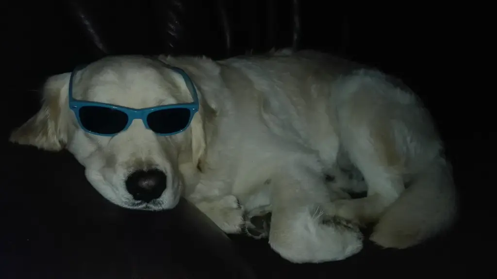 Andachtsbild von Peter und Christa