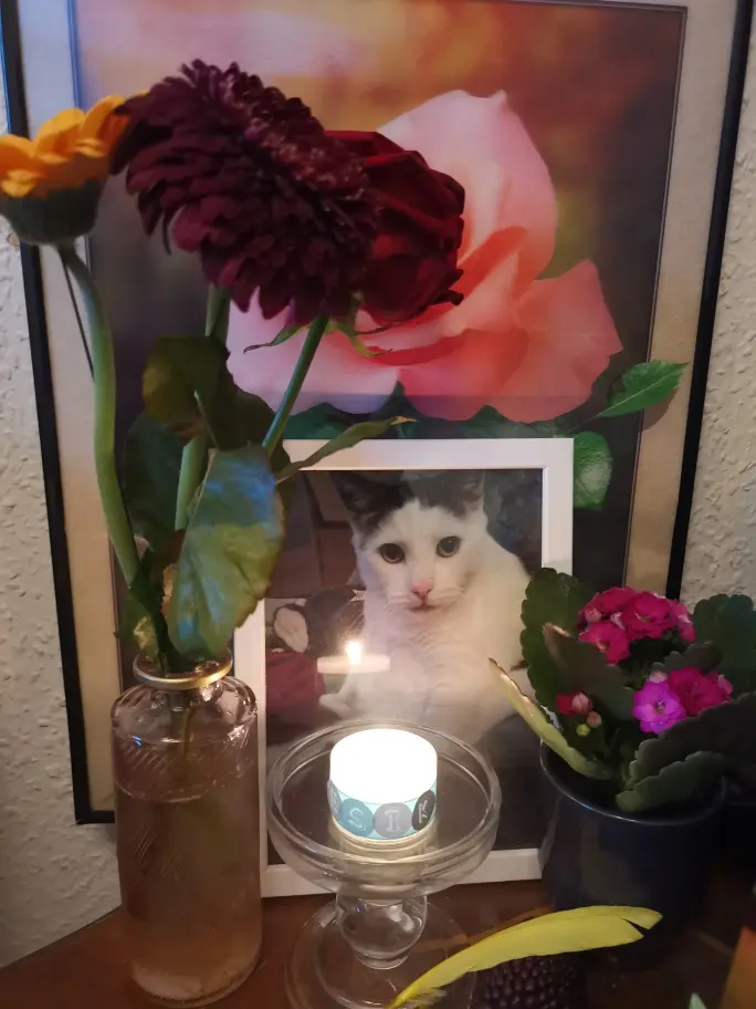 Andachtsbild von Olena mit Lesik im Herzen ❤️