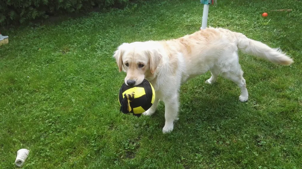 Andachtsbild von Peter& Christa mit Theo❤️