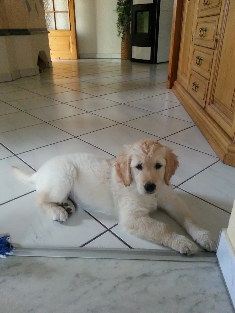 Andachtsbild von Peter & Christa mit Theo♥️