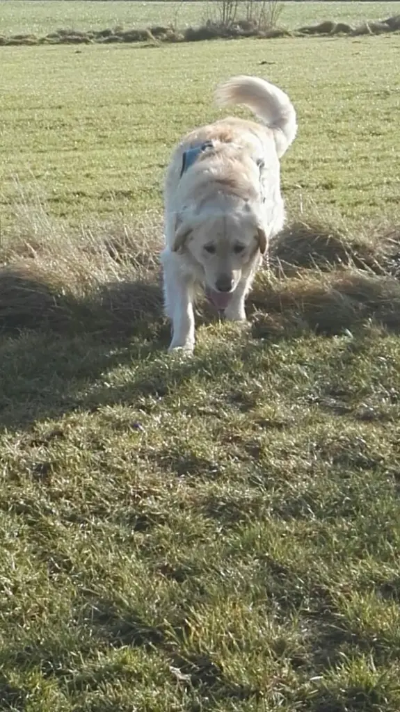 Andachtsbild von Peter & Christa mit Theo♥️