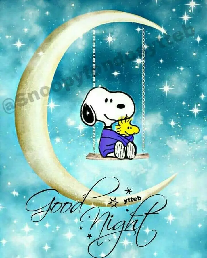 Andachtsbild von Iris