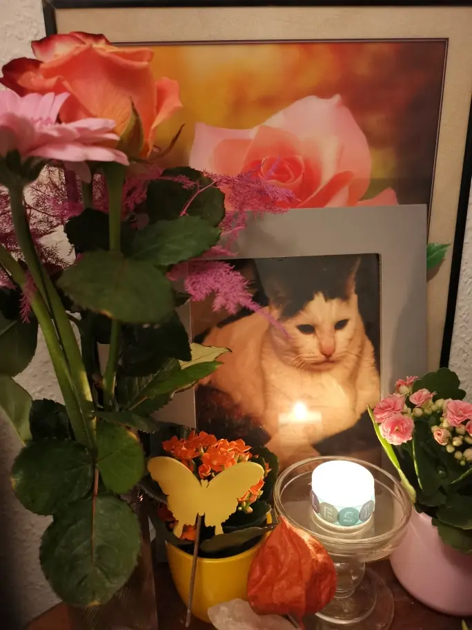 Andachtsbild von Olena mit Lesik im Herzen ❤️