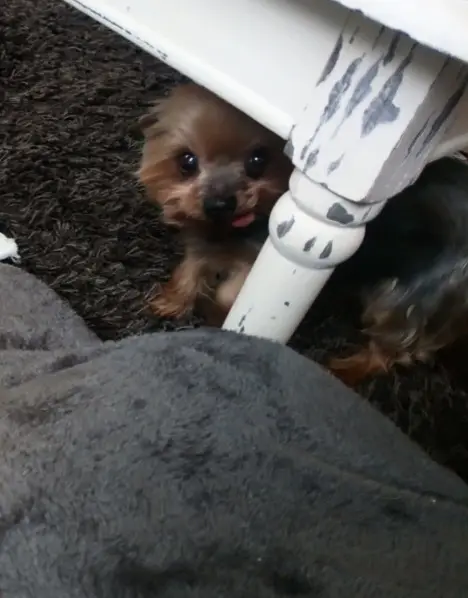 Andachtsbild von Kerstin ❤️Snoopy