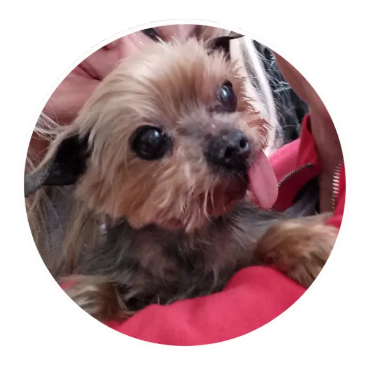 Andachtsbild von Kerstin ❤️Snoopy