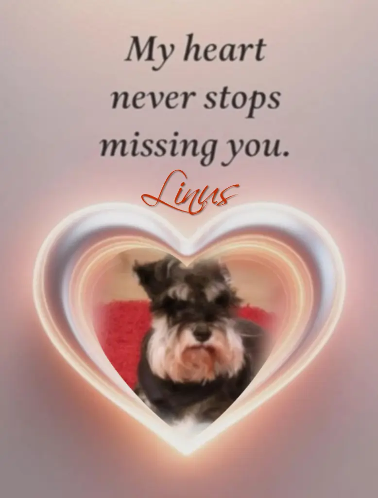 Andachtsbild von Linus♥️ geliebt♥️ und unvergessen♥️