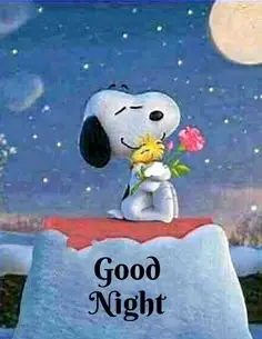 Andachtsbild von Iris