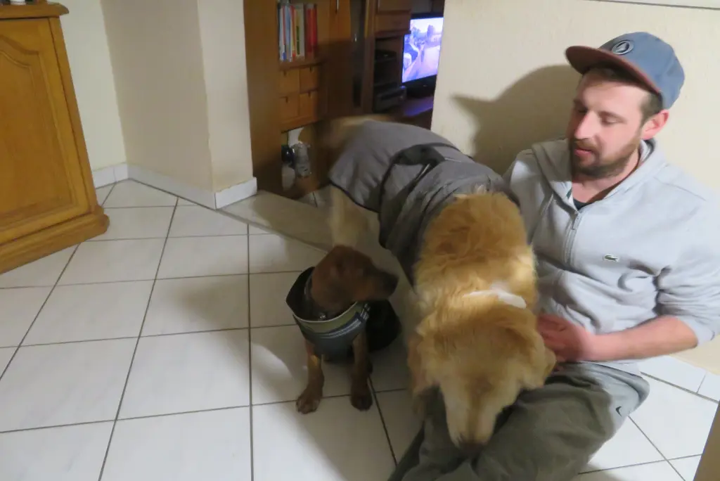 Andachtsbild von Peter & Christa mit Theo❤️