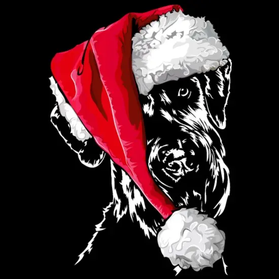 Andachtsbild von Iris