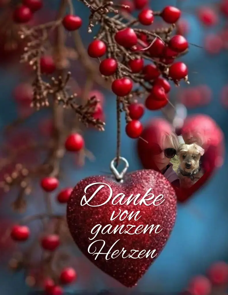 Andachtsbild von ♥️DANKE♥️