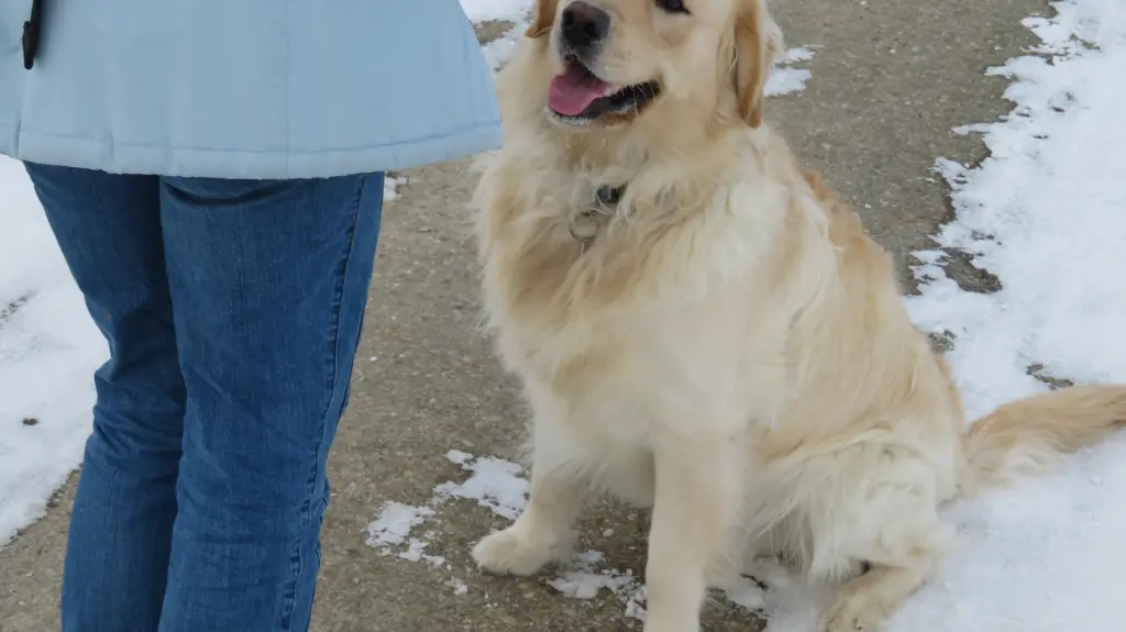 Andachtsbild von Peter & Christa