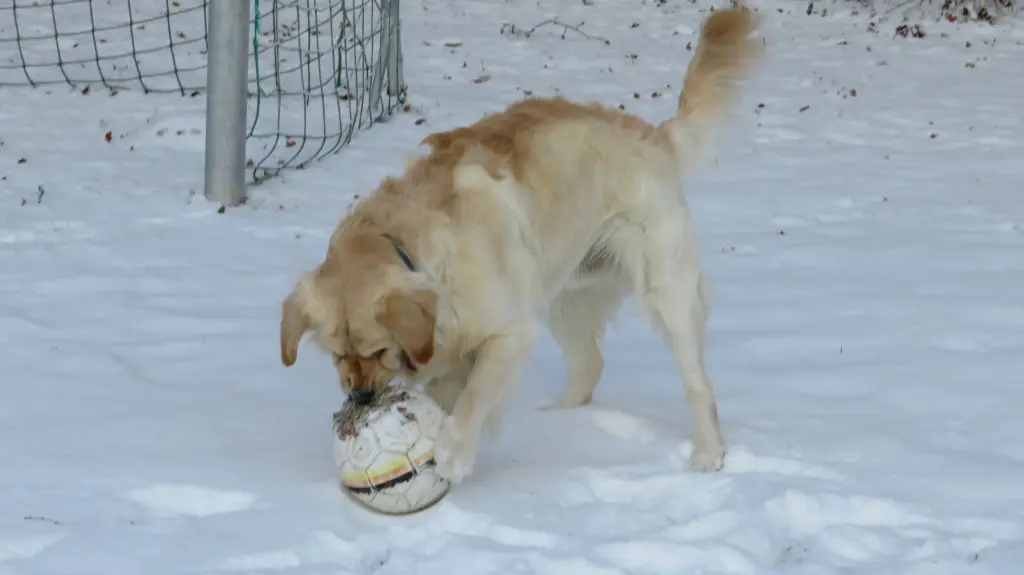 Andachtsbild von Peter & Christa mit Theo ❤️