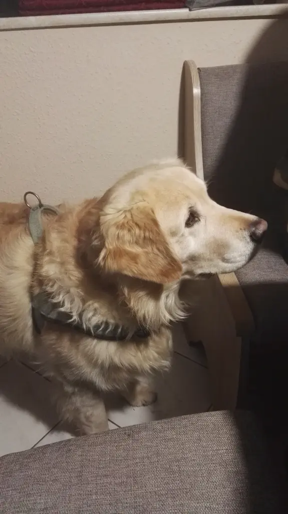 Andachtsbild von Peter & Christa mit Theo❤️