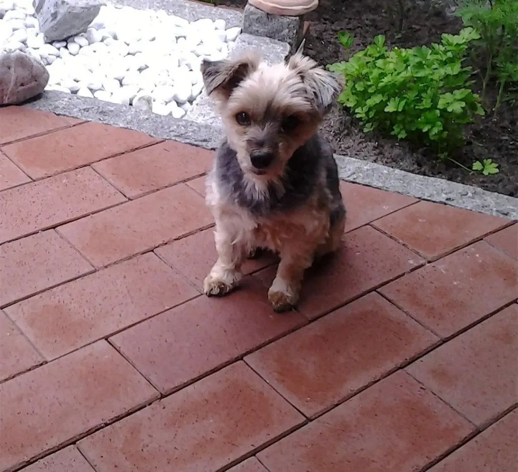 Andachtsbild von ✨ ✨ Danke✨ ✨