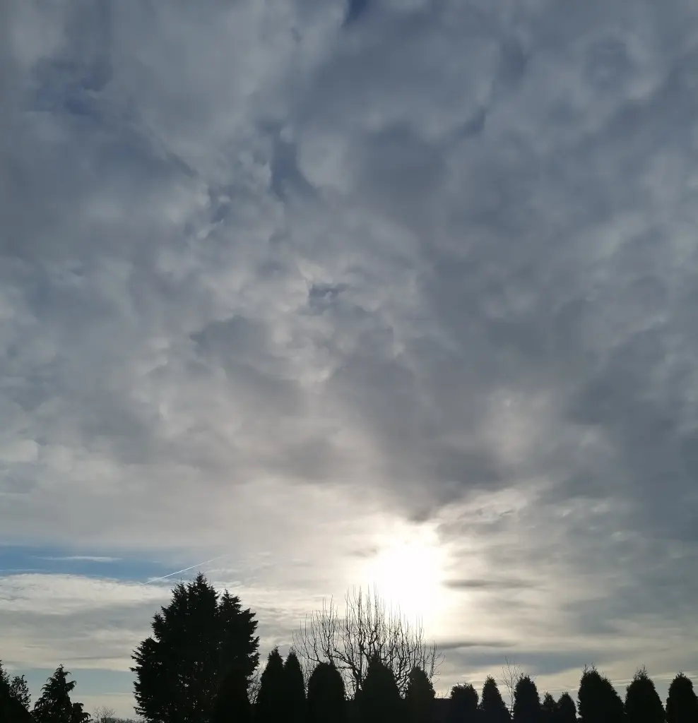 Andachtsbild von 🌹 Ein ♡ herzlicher ♡ Gedanken ♡ Gruß♡ 🌹