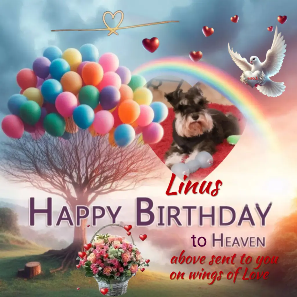 Condolence image of 🌺Happy Birthday🌺  Linus♥️