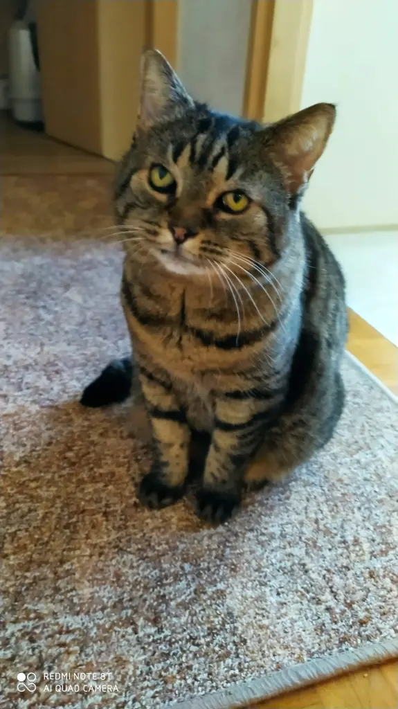 Bild von Frieda