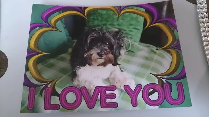 Condolence image of Sigrid 