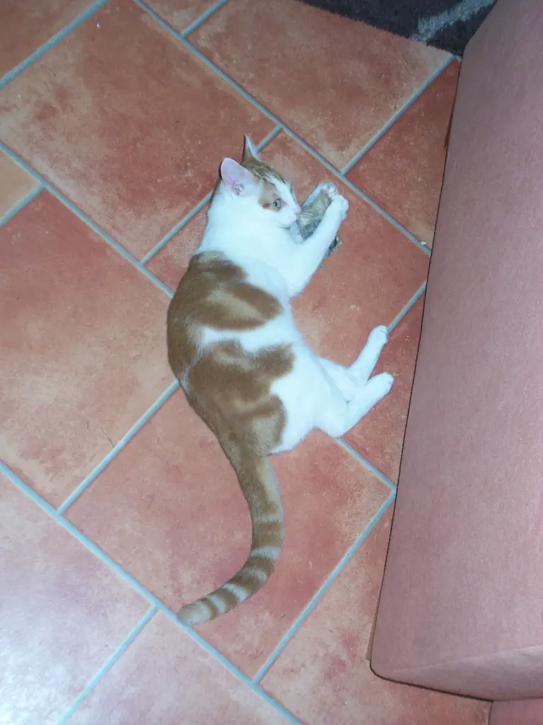 Image from Max