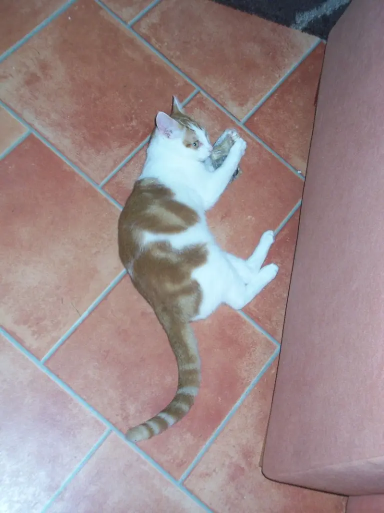 Image from Max