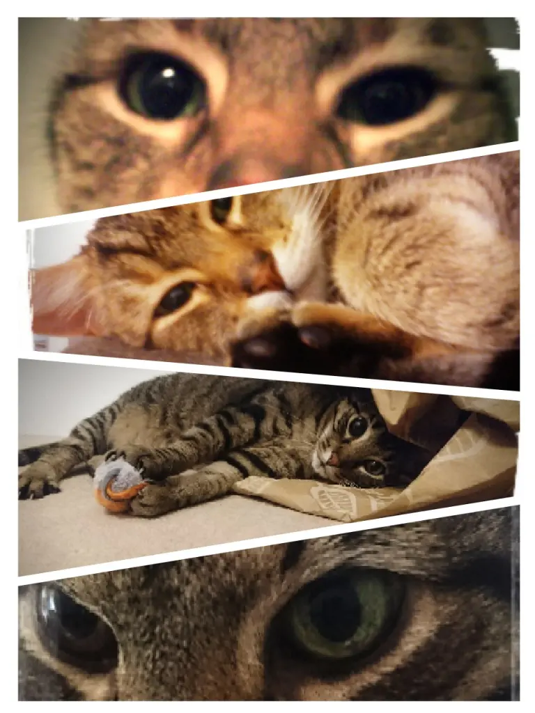 Condolence image of Vera