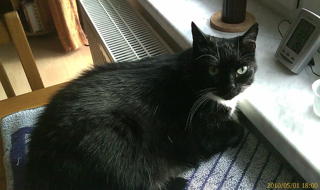 Condolence image of Jeanne - Marie