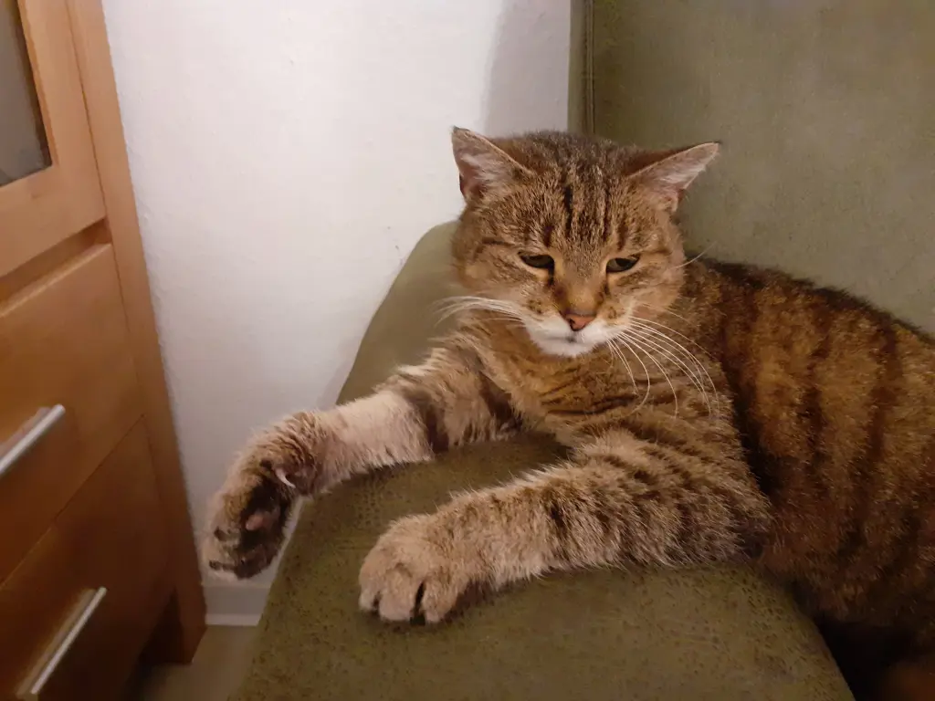 Andachtsbild von Jan mit Frieda