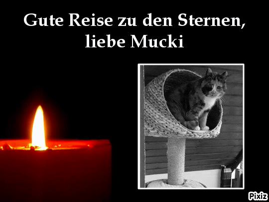 Andachtsbild von Tanja mit Timmy im Herzen