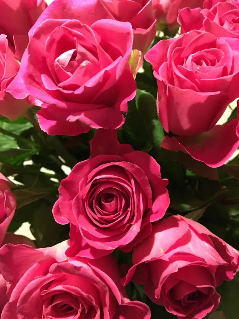 Condolence image of Anja mit Maja & Gräuli im  ༺❤️༻