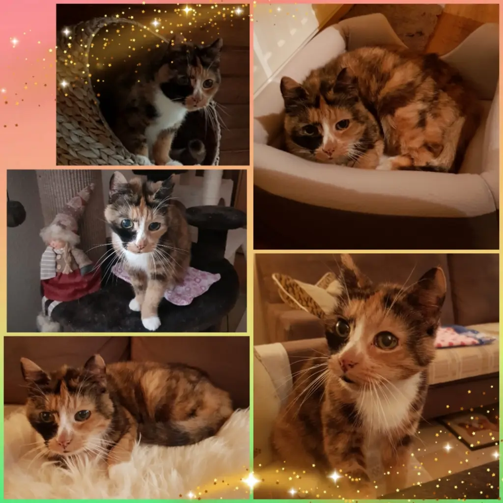 Condolence image of ❤️Eike und Edeltraud ❤️ 